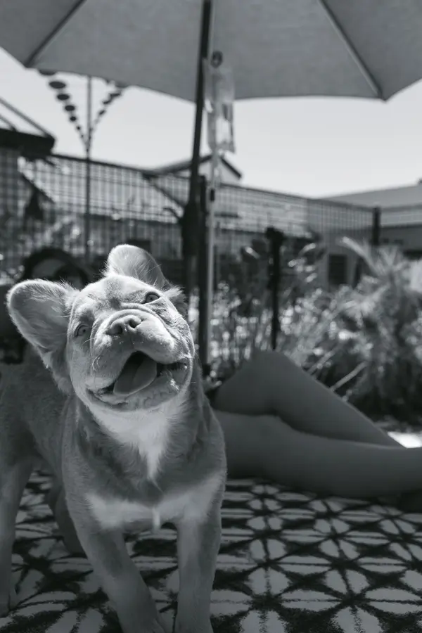 IV Revival registered nurse administering IV therapy to regular client in Phoenix
